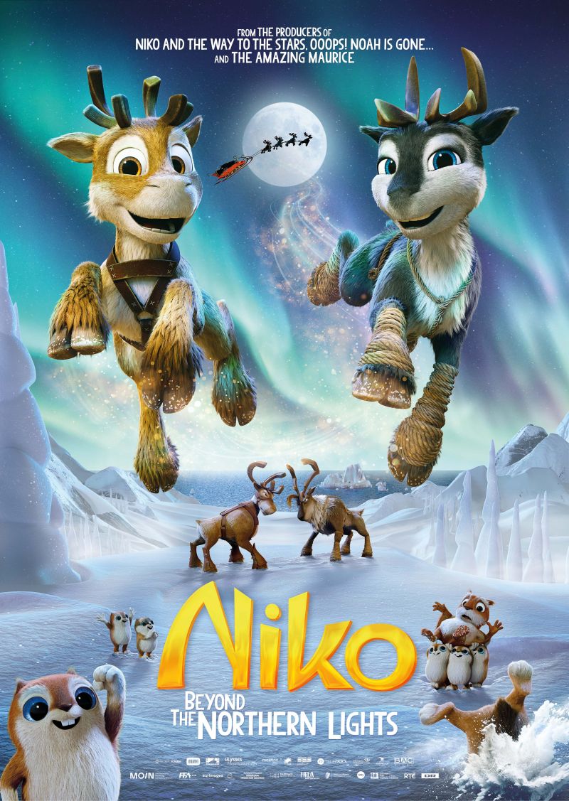 Niko voorbij het Noordelicht