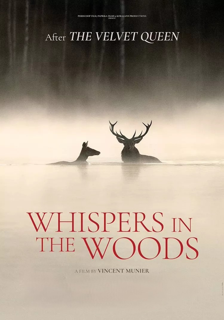 Whispers in the Woods